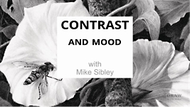 Introduction to contrast