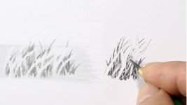 A better way to draw weeds - negative drawing