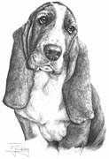 Basset Hound fine art dog print by Mike Sibley