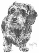 Wirehaired Dachshund fine art dog print by Mike Sibley