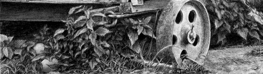 detail of the weeds