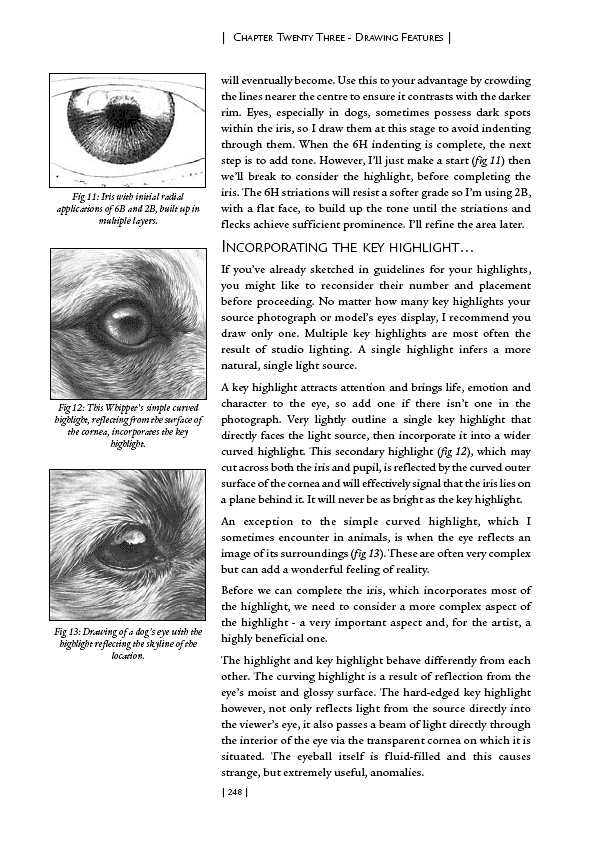 How to draw eyes, noses and other features.