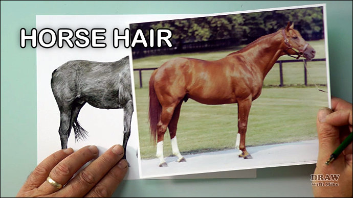Critique: Horse Hair