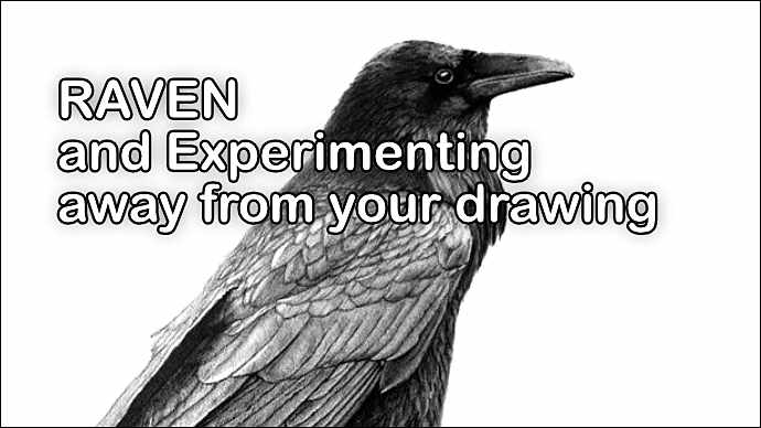 Advice on drawing a Raven and using Affinity Photo to safely experimnent with the drawing