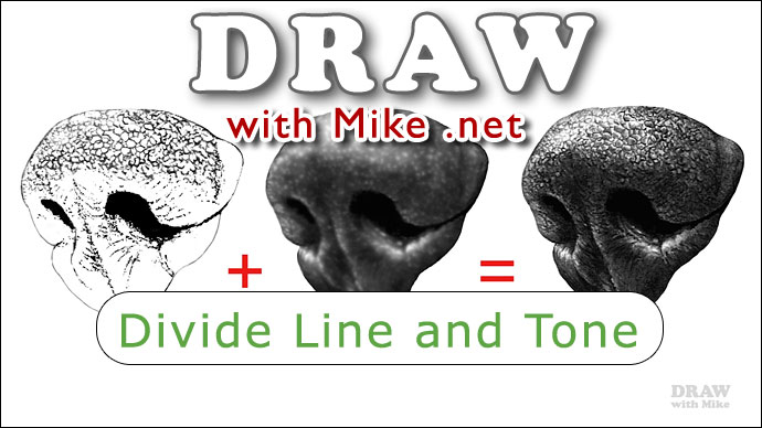 How to separate LINE and TONE in a drawing simply pencil drawing.