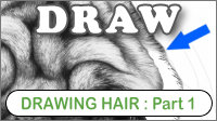 Understanding the properties when drawing hair and how to break it down into easily manageable sections in a drawing