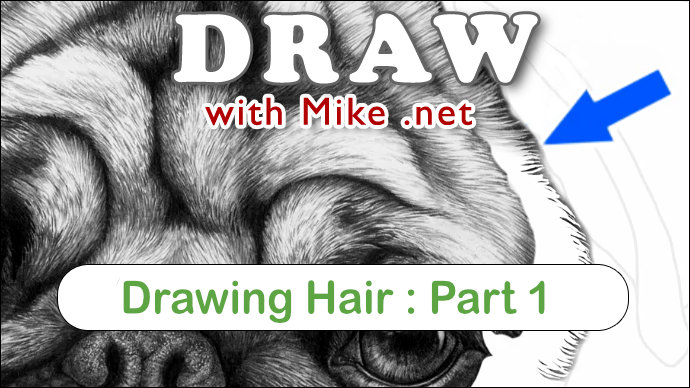 how to draw hair in pencil