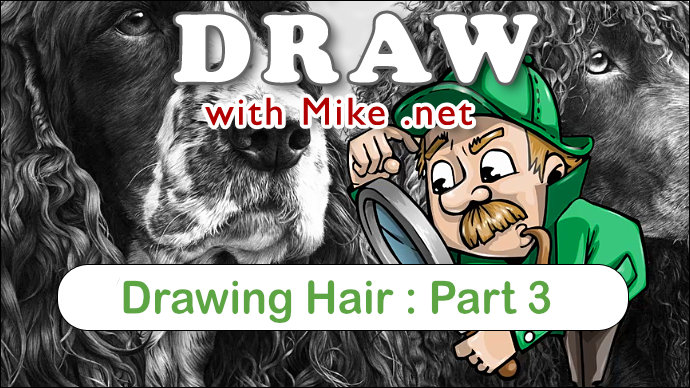Part 3: Finding and using Visual Clues to create believable hair in drawing with graphite pencil