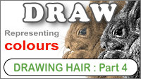 How to draw different colours of hair in graphite pencil.