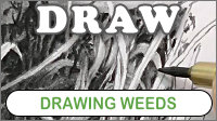 An in-depth exploration of drawing weeds in graphite pencil