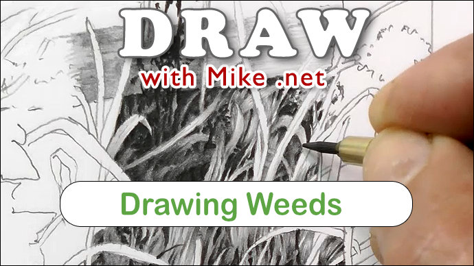 How to syudy and draw weeds effectively and realistically in graphite pencil