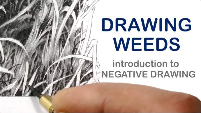 Drawing Weeds - an introduction to negative drawing
