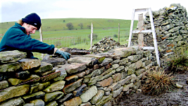 Using a Yorkshire drystone wall as our demonstration model