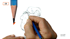Drawing tips throughout video