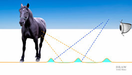 Discover how your mind reads what it sees...