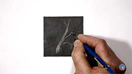 Creative erasing of an old tree and branches in pencil