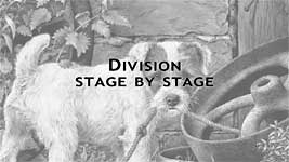 How a drawing was divided and drawn stage by stage.