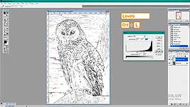 Using Photoshop to quickly convert a photo into a line drawing.