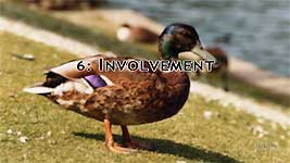 6: Involvement. How using the MAGIC stage greatly increases you involvement and understanding of your subject.