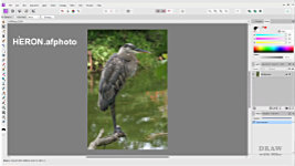 A photo of a Heron used to explain the enhancement methods