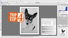 Demonstration: showcasing your drawings