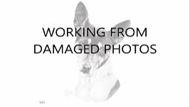 Mike explains how a photo bonded to a stained drinks coaster was successfully used to complete a commissioned portrait