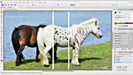 Creating a Spotted, and Striped, Shetland Pony in Affinity Photo