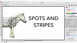 Applying tiger stripes to a white pony for use in your pencil drawing