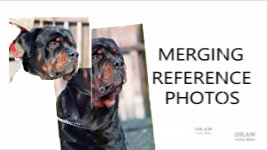 Combining photos to create the perfect reference