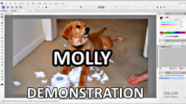Demonstration #4 - Molly: Creating a missing limb and rearranging the reference photo