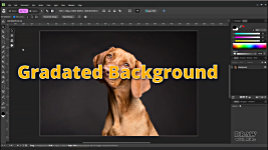 Removing a gradated bk from a photo