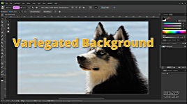 Removing Variegated backgrounds from reference photos