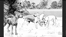 The drawing begins...