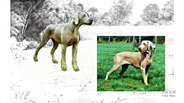 Computer composing - the basic steps