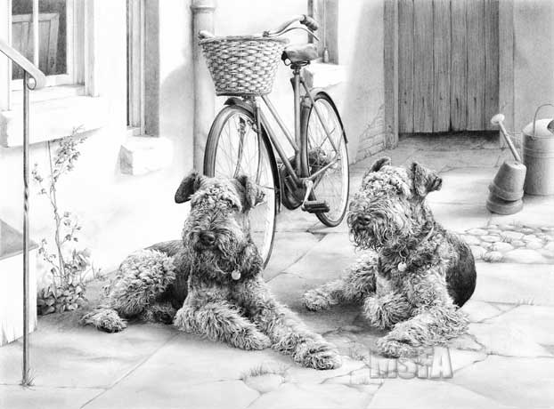 'Visiting Aunt Maud' Airedale Terrier limited edition print from a graphite pencil drawing by Mike Sibley