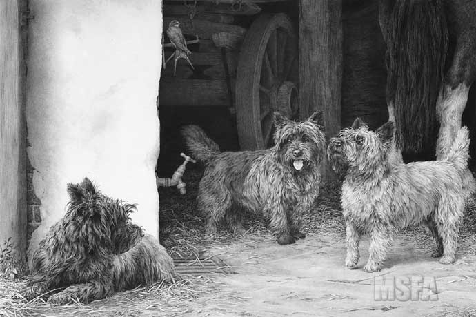 'The Barn Patrol' Cairn Terrier print and graphite pencil drawing by Mike Sibley