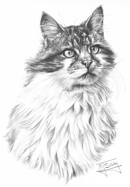 Cat print from graphite pencil drawing by Mike Sibley.