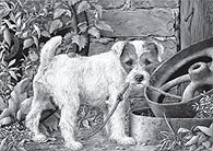'Just Thinking' Parson Russell Terrier fine art dog print by Mike Sibley