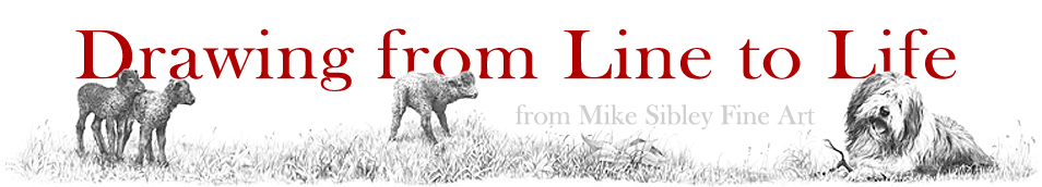 Mike Sibley blog - Drawing from Line to Life