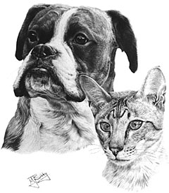 Boxer & Lynx-point Siamese Commission 1986