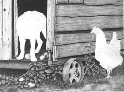 Edith's Border Collie pup and Hen graphite pencil drawing