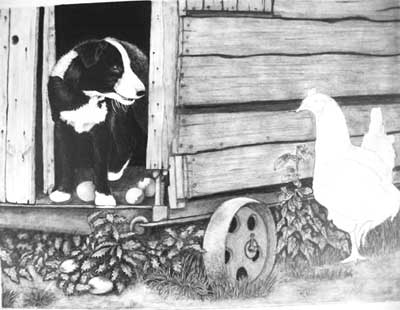 Edith's Border Collie pup and Hen graphite pencil drawing