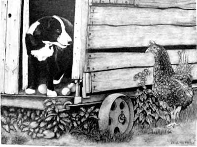 Edith's completed Border Collie pup and Hen graphite pencil drawing