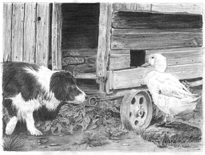 Kathryn's Border Collie and Duck graphite pencil drawing