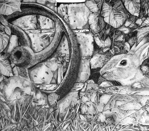 Jane - Rabbit drawing