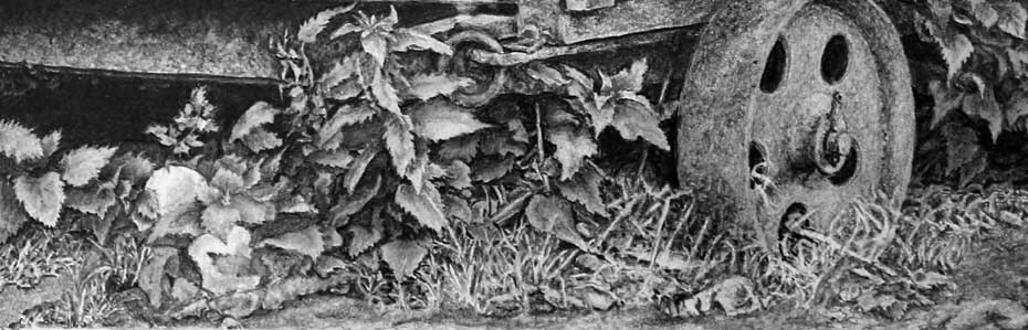 Grass and foliage in Jamie's pencil drawing