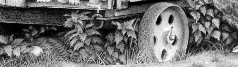 detail of foliage beneath the henhouse