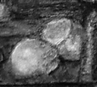detail of broken egg shells