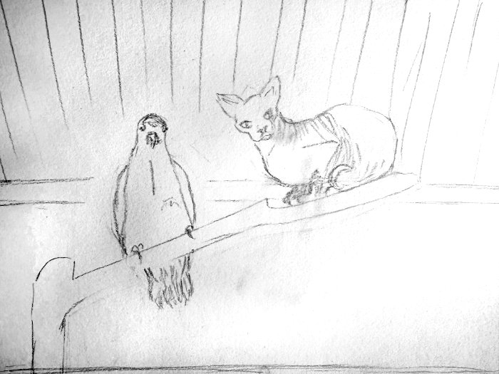 Composition including elements from different sources