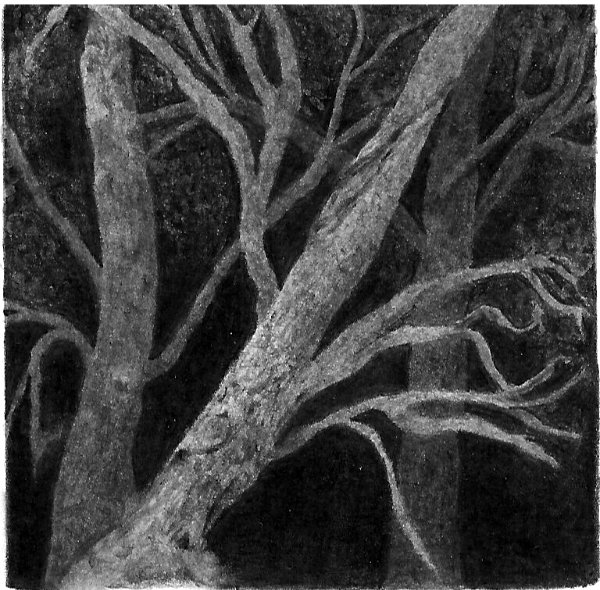 creating recession in a deep dark forest